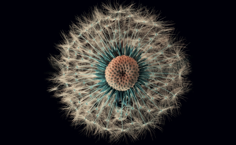 Türkiye bilişim sektörünün en önemli referansları arasında yer alan “İlk 500 Bilişim Şirketi Türkiye 2017 – Bilişim 500 araştırması ", bu yıl 19’uncu kez sektöre ve iş dünyasına ayna tutacak. 