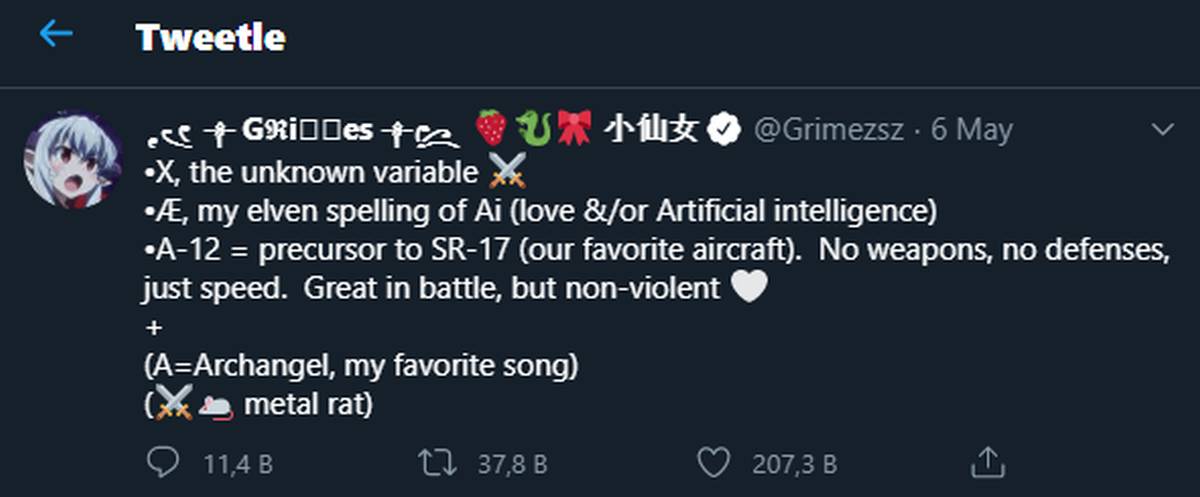 Elon Musk Çocuğunun tweet