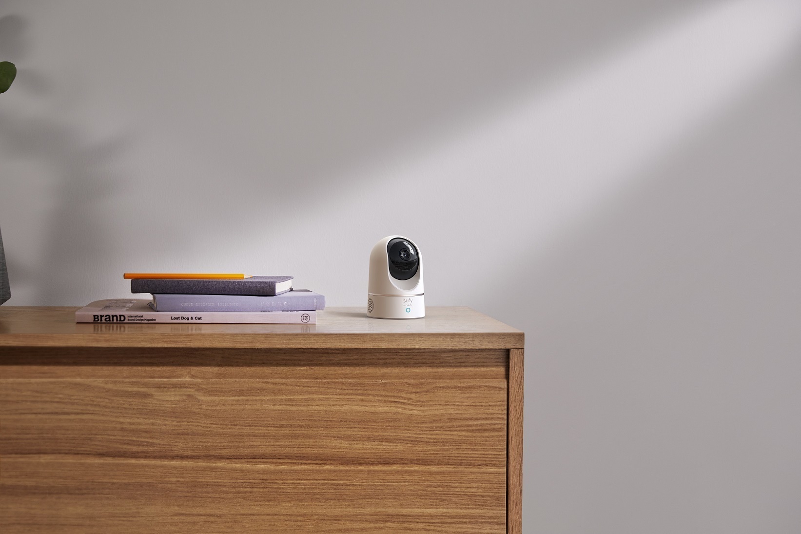 Yapay Zeka özellikli Akıllı Güvenlik Kameraları neler sunuyor?