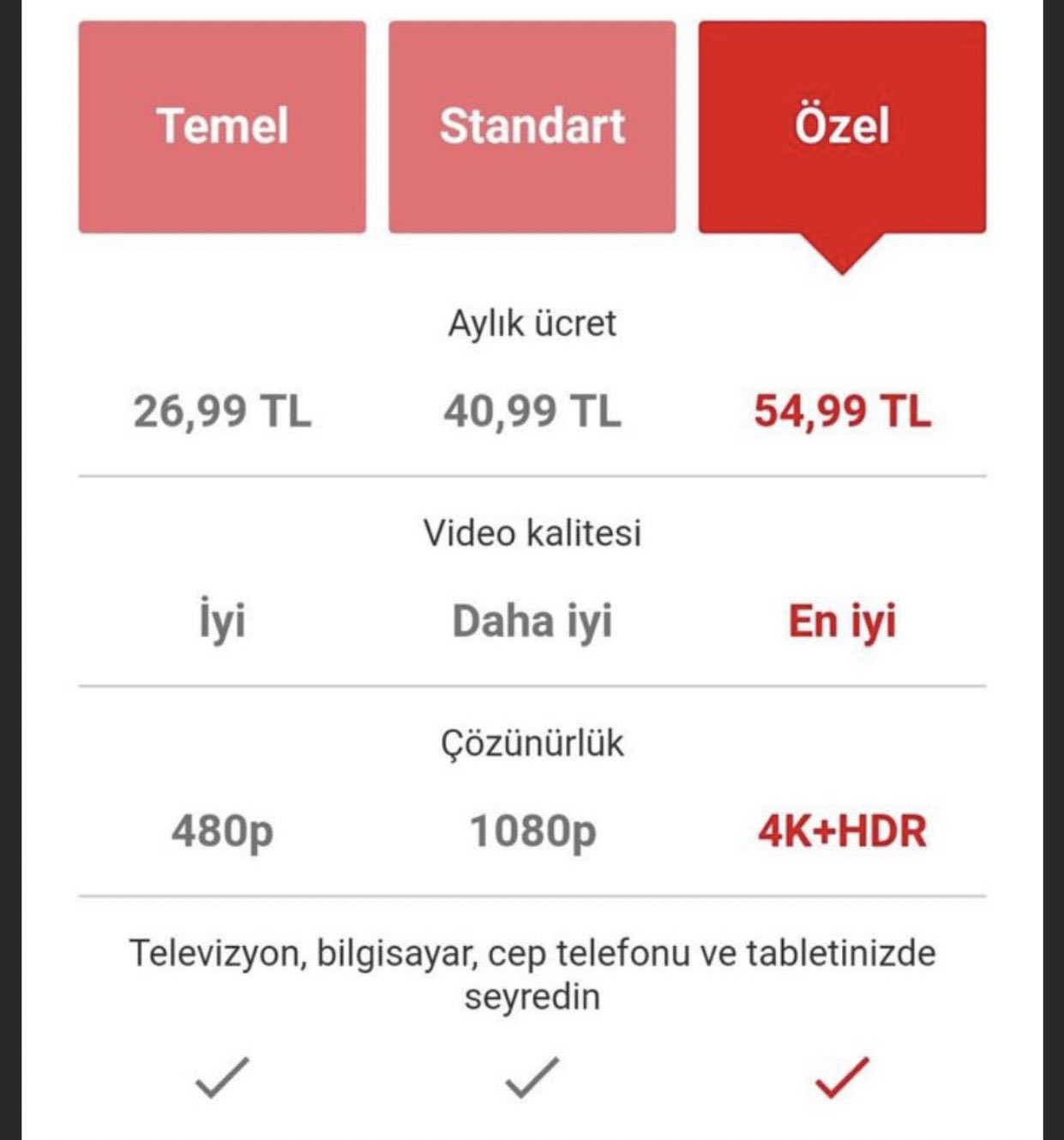 Netflix Türkiye fiyatları
